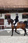 ref. photo 3228432