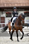 ref. photo 3228437