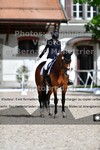 ref. photo 3228544