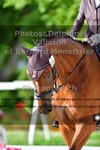 ref. photo 3228553