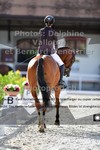 ref. photo 3228570