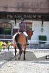 ref. photo 3228571