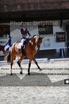ref. photo 3228587