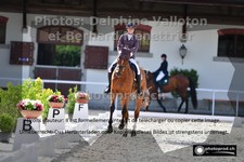 ref. photo 3228594