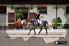 ref. photo 3228706