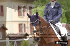 ref. photo 3228728