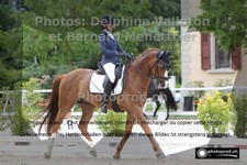 ref. photo 3228749