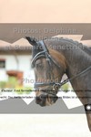 ref. photo 3228781