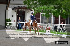 ref. photo 3228800