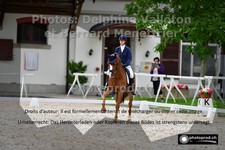 ref. photo 3228801