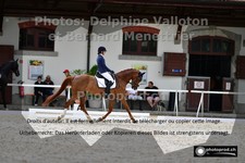 ref. photo 3228807