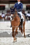 ref. photo 3228813