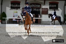 ref. photo 3228824