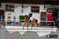 ref. photo 3228829