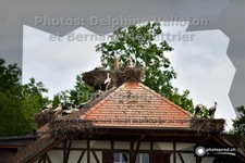 ref. photo 3228846