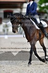 ref. photo 3228852