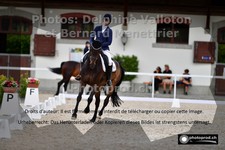 ref. photo 3228887