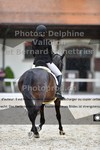 ref. photo 3228901