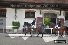 ref. photo 3228902