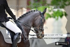 ref. photo 3228915