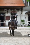 ref. photo 3228947
