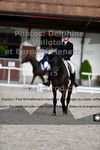 ref. photo 3228961