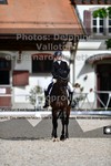 ref. photo 3228996