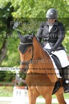 ref. photo 3229001