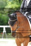 ref. photo 3229002