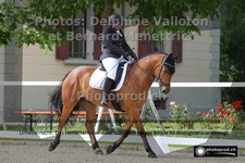 ref. photo 3229003