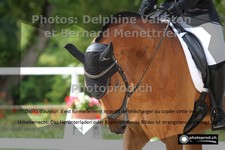 ref. photo 3229006