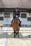ref. photo 3229007