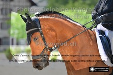 ref. photo 3229023
