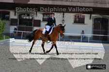 ref. photo 3229031