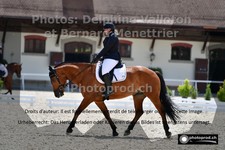 ref. photo 3229049