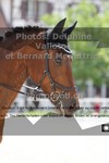 ref. photo 3229056