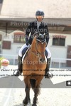 ref. photo 3229057