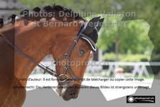 ref. photo 3229061