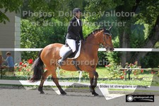ref. photo 3229066