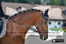 ref. photo 3229072