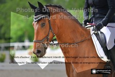 ref. photo 3229077
