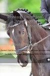 ref. photo 3229152