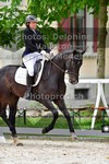 ref. photo 3229185