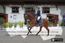 ref. photo 3229199