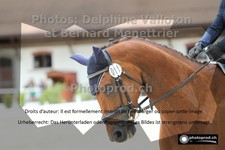 ref. photo 3229212