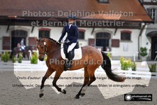 ref. photo 3229244