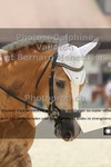 ref. photo 3229258