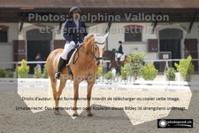 ref. photo 3229268