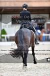 ref. photo 3229279