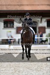 ref. photo 3229309